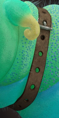 Caterpillar timer belt shading
