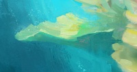 Reef shot - detail paintover