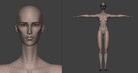 Mikassa Retopology - WIP 2
