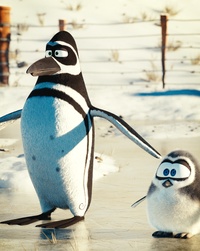 penguins_tex_wednesday.png