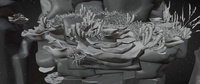 Reef shot v10 - wave motion test