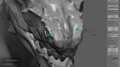 Eye Setup