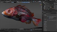 Ballan Wrasse - Brush Stroke Shading Demo