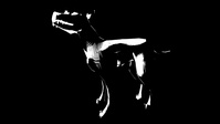 max_gfx_crosshatch_dog