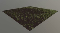 Grass growing test 03