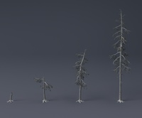 Tree Model and Material update 04