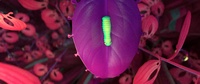 Jungle leaf scene: the shot