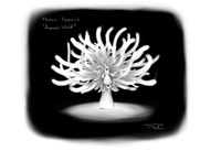 Franck the Sea Anemone