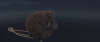The wind in Franck's fur
