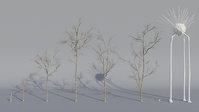 Tree Model Arrangements Tests 04