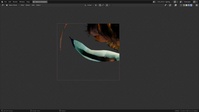 Mouth Mask