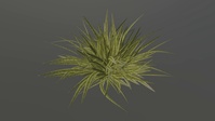 Grass growing test 01