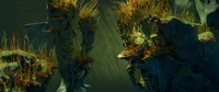 230_sinking-coral_breakdown-v001