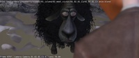 Franck interrupted, layout edit 
