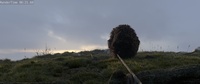 Franck approaches the cliff
