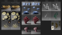 Corals - modeling reference paint-overs