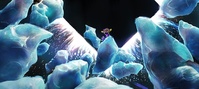 Ice shards paint-over