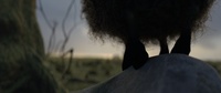 Opening shot, take 1
