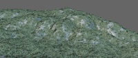 Windy grass test 2 - Viewport render