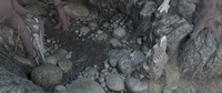 02_040_A Riverbed Set WIP #2