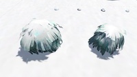 New vs Old Bushes