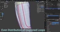 Relax Geometry with Pinning