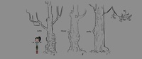 oak4.jpg