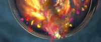 The tornado emerges (video)