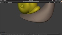 Snail flattening