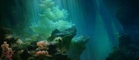 Layer 1 - Reef