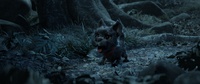 02_035_A - Render test 2 (first half of the tracking shot)