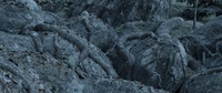 06_040_A - Render test #02 (Start)
