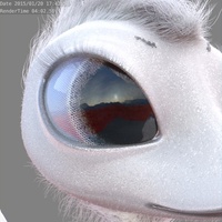 Tara's textured eyes