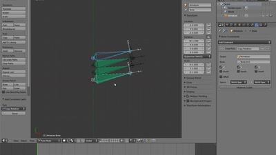 05 Palm Rig