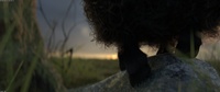 Franck's effing hooves, with fur