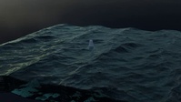 Ocean shader test video