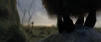 Franck's fuzzy world