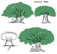 shapes_chnut.jpg