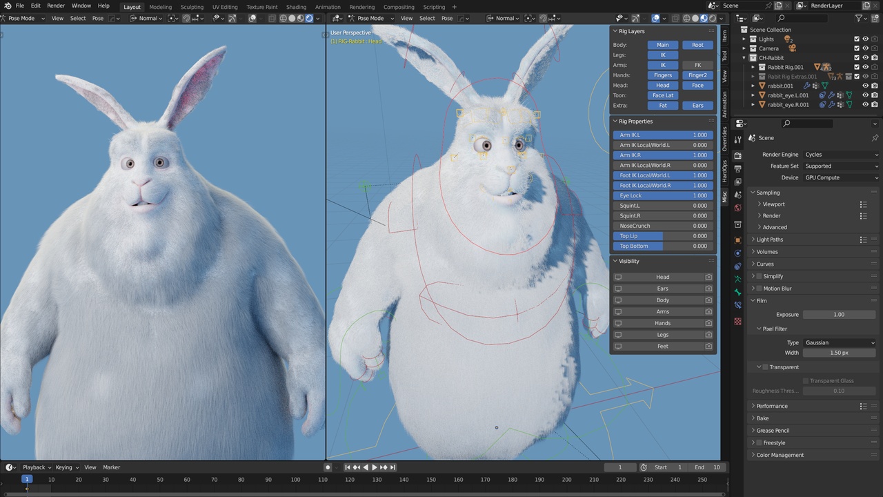 Bunny