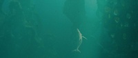 260_return-lighting-v001