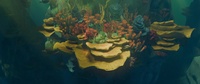 Underwater set - set dressing 3