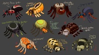 Spiders design sheet