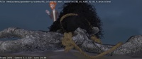 Animation: Franck interrupted, version 13