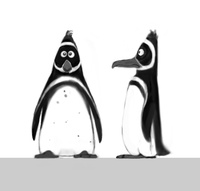 Timelapse: Pinguino modelling
