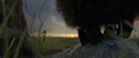 Opening shot with curly hair, moss, and more