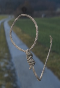 Modeling the noose 1