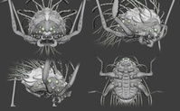Alpha WIP 02 - Close-ups