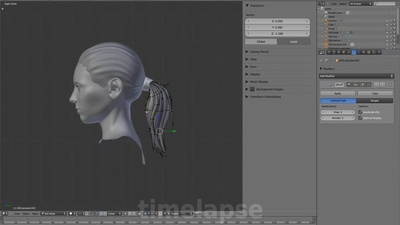 02 - Hair Strands
