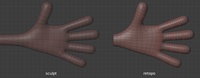 Jay hand, palm - retopo