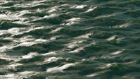 Painterly Water Surface Test